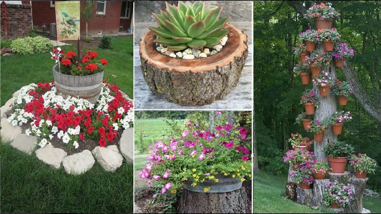 65+Unusual tree stumps as planters for your beautiful plants and flowers