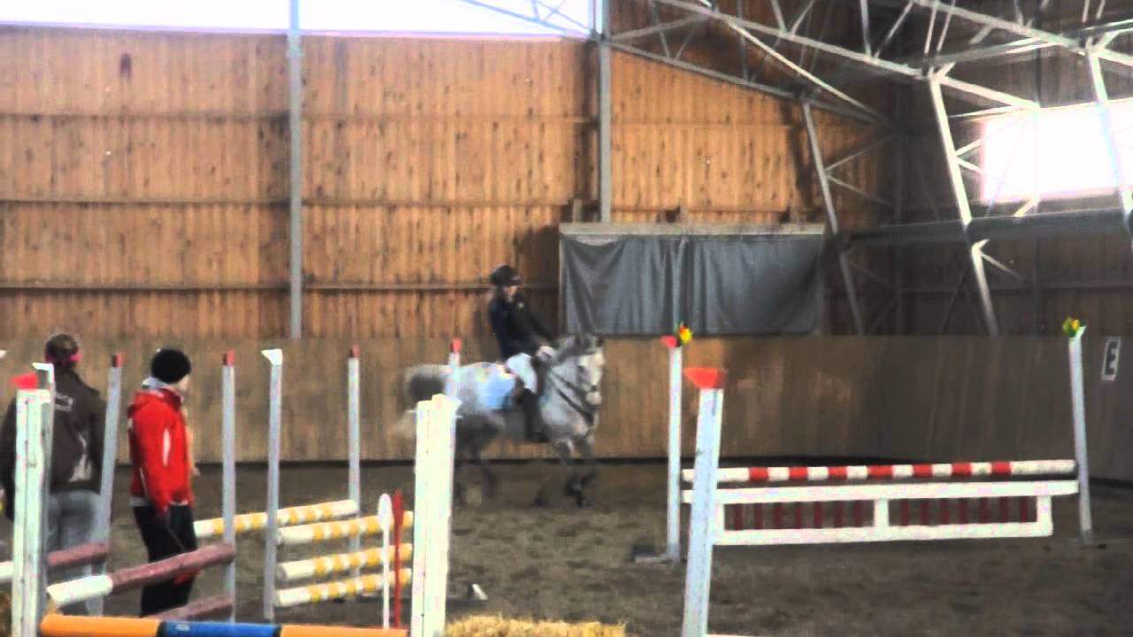 seuraestekilpailut KJR 09.04. [Helka, Fasu, Viki]