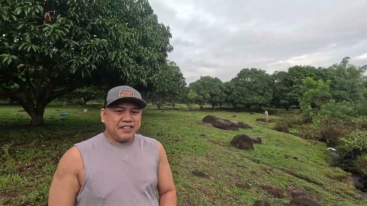 NAG HANAP AKO NG GARDEN PARA LAGYAN NG GULAY
