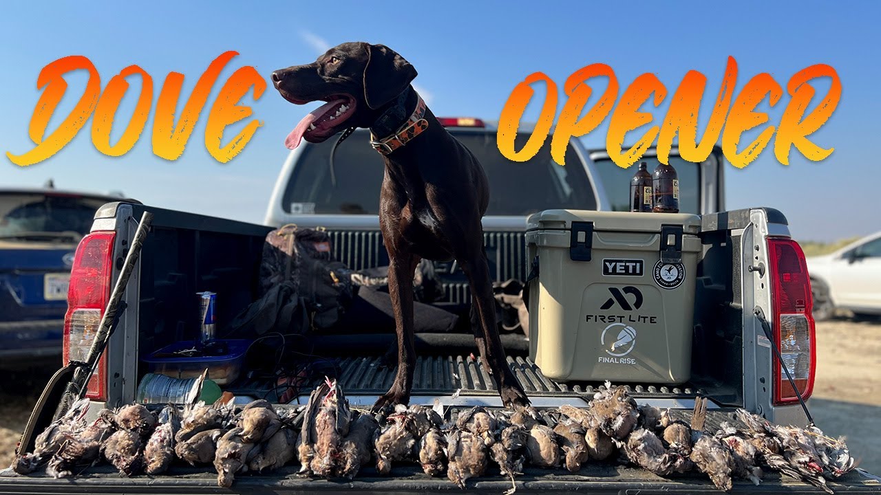 Ultimate Dove Hunting Season Opener 2023