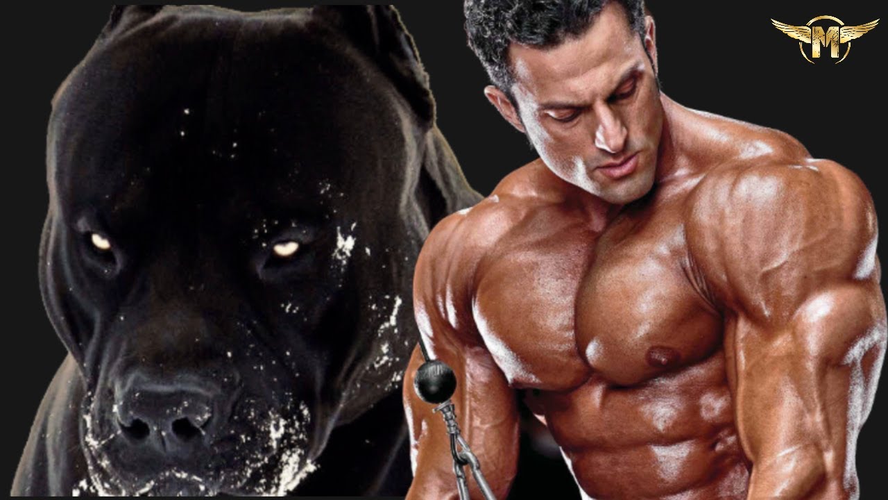 I AM A DOG - Bodybuilding Lifestyle Motivation