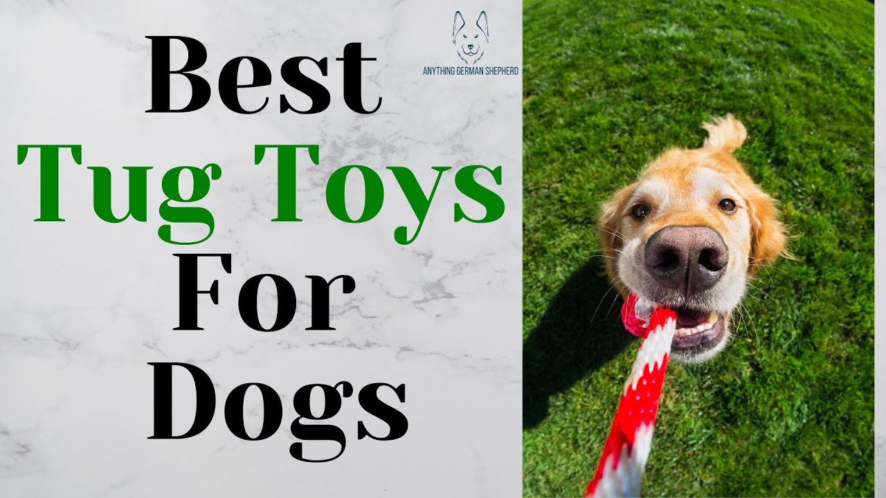 Best Tug Toys For Dogs That Actually Last