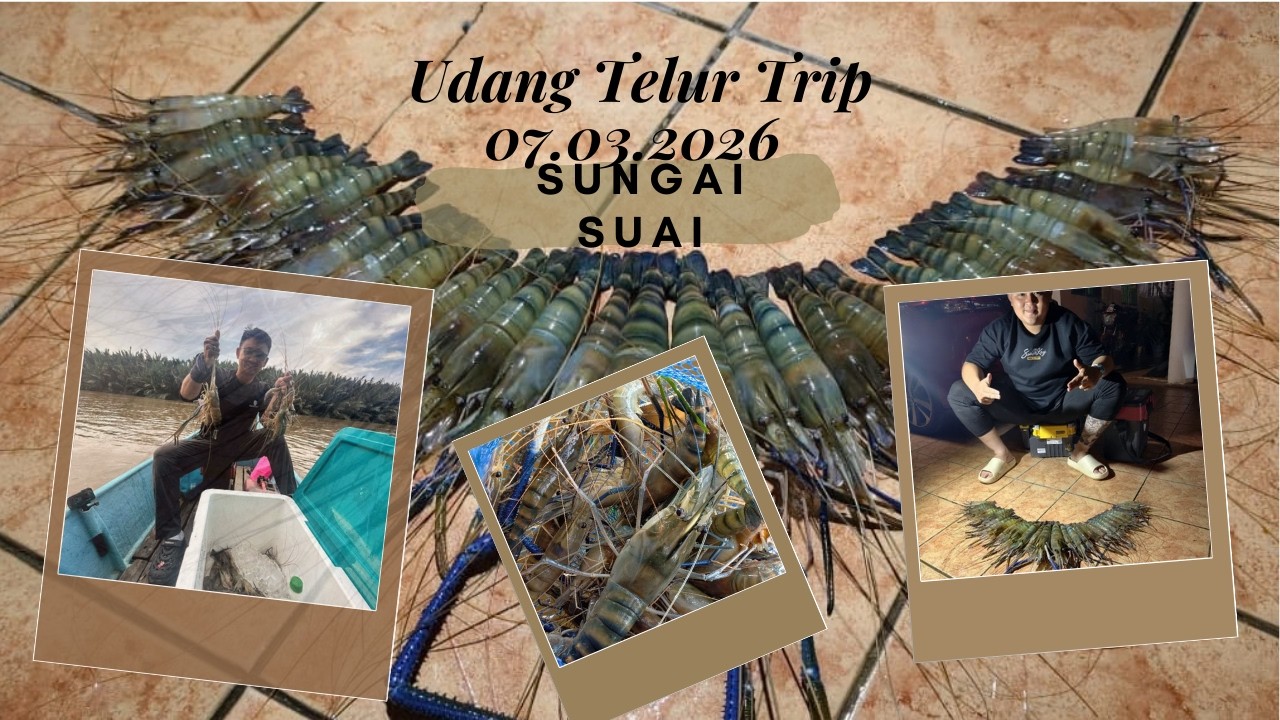 #006 Ngail Udang Sungai Suai 07.03.2026