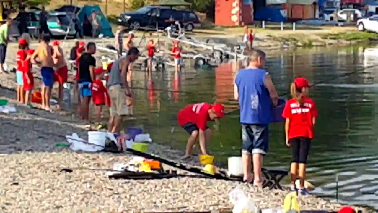 Zlatna Bucka Tekija 2017