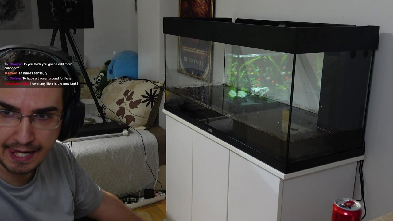 FIGURING OUT NEW RUS META, FFA TIER LIST & AQUARIUM SETUP STARTS!
