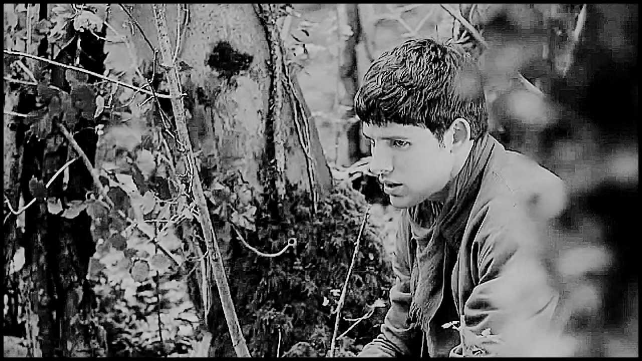 Merlin&Arthur | No Light, No Light (OTPRC)