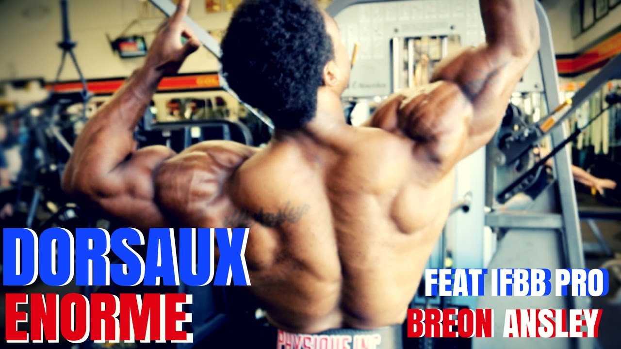 Dorsaux  Avec  IFBB Mr Olympia Classic Breon Ansley