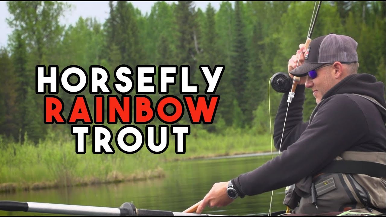 The BEST Dry Fly Fishing in BC? | The Cariboo's BIGGEST Secret...