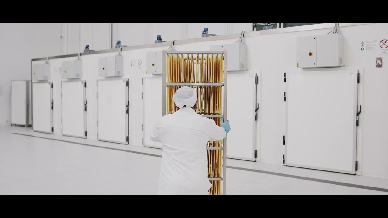 Linea produzione pasta secca 1000, Dry pasta lines and equipment, Lignes pates seches