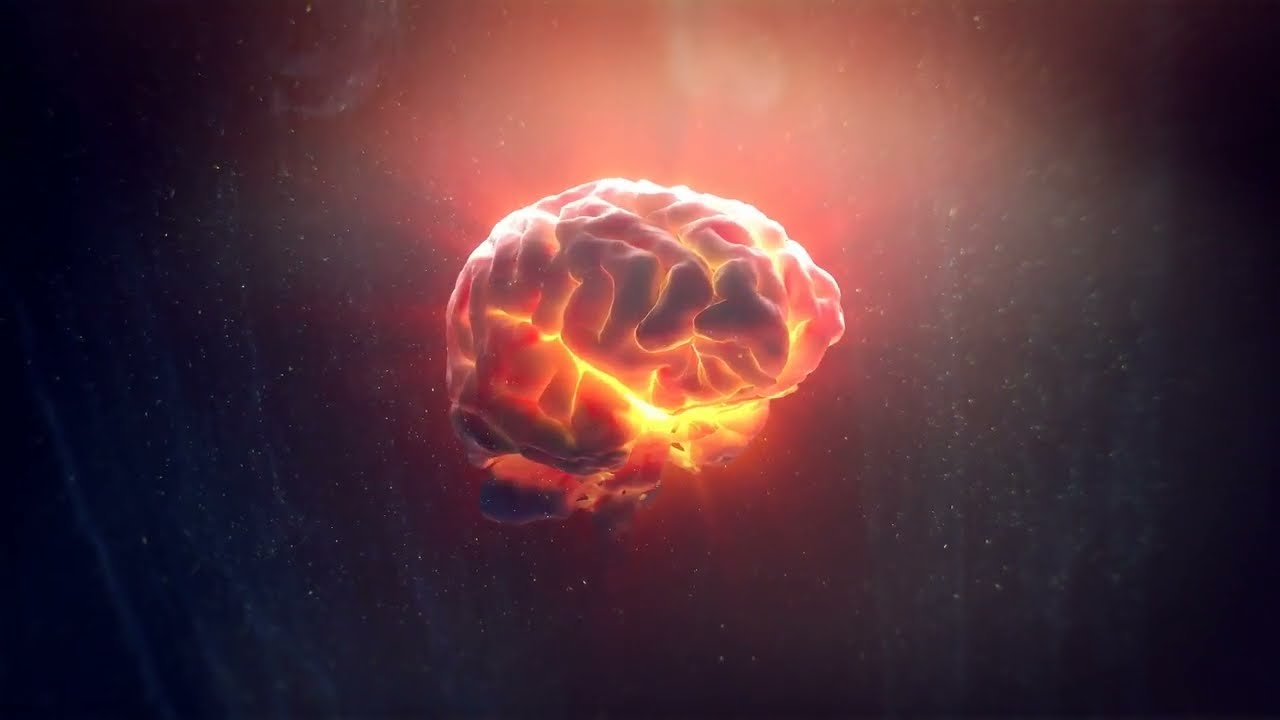 Unleashing the Night: The Creative Surge of the Nocturnal Brain