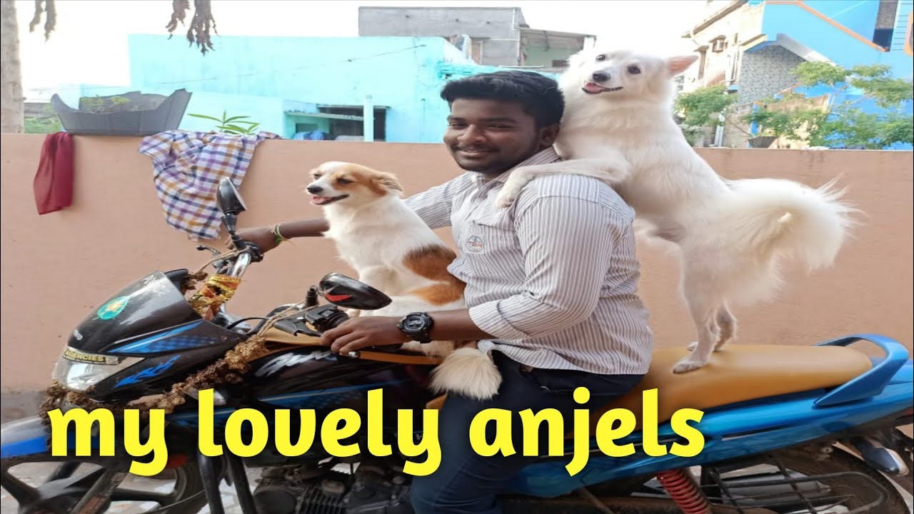 my lovely anjels//blessy bangaram