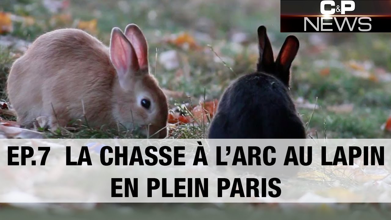 C&P News #7 - Chasse aux lapins en plein Paris ! - Chasse & Pêche