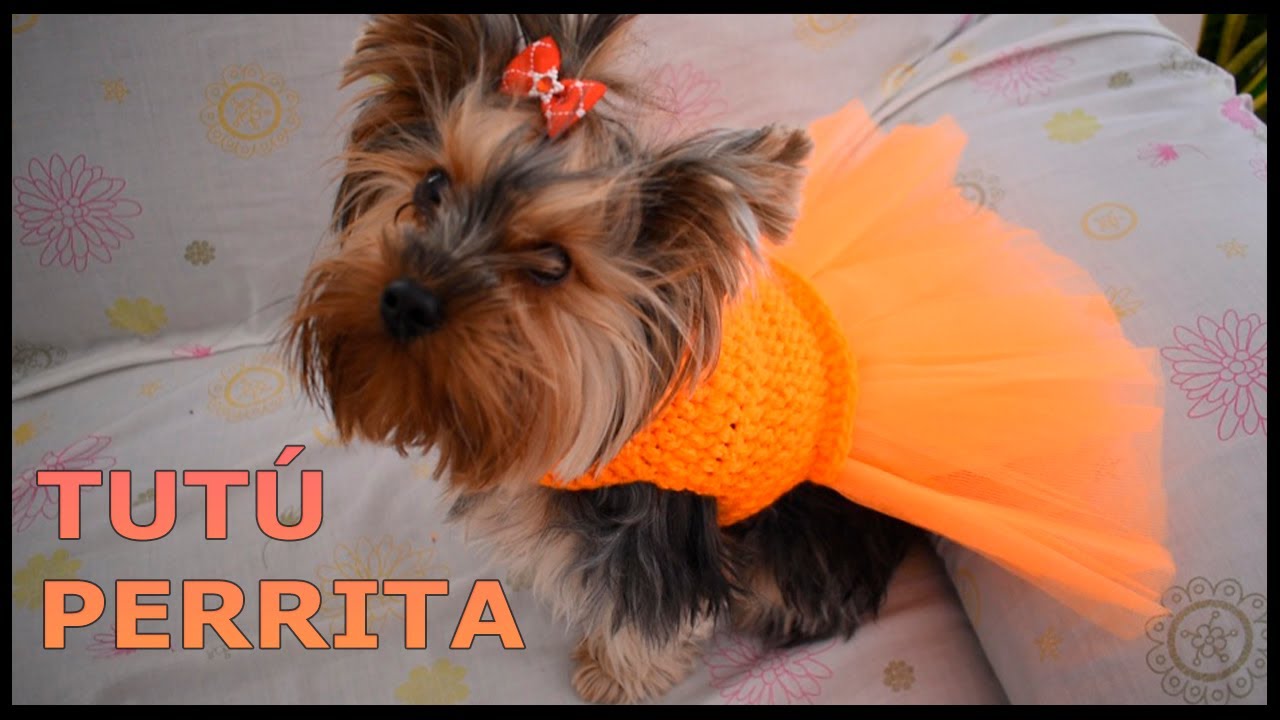 Tutú a crochet para perrita