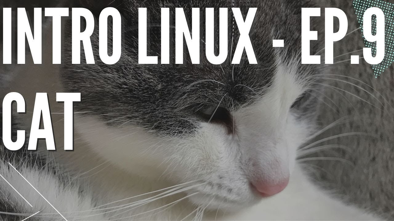 Connais-tu bien la commande UNIX cat ?