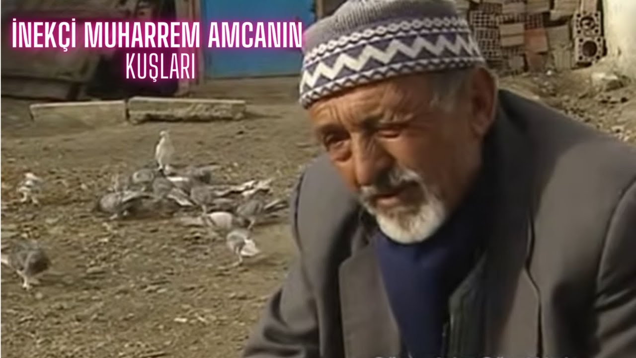 İnekçi Muharrem Amcanın Taklacı Oyun Kuşları