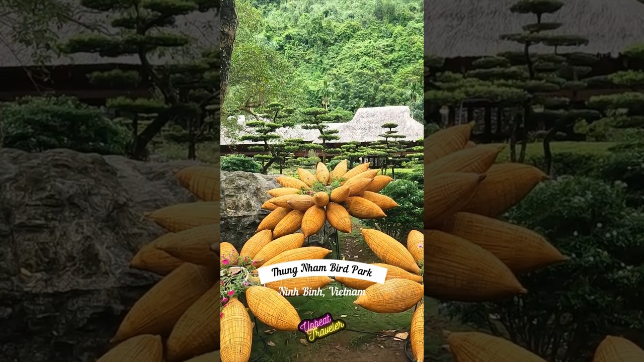 Thung Nham Bird Park in Ninh Binh, Vietnam: A Paradise for Birdwatching & Nature Lovers #shorts