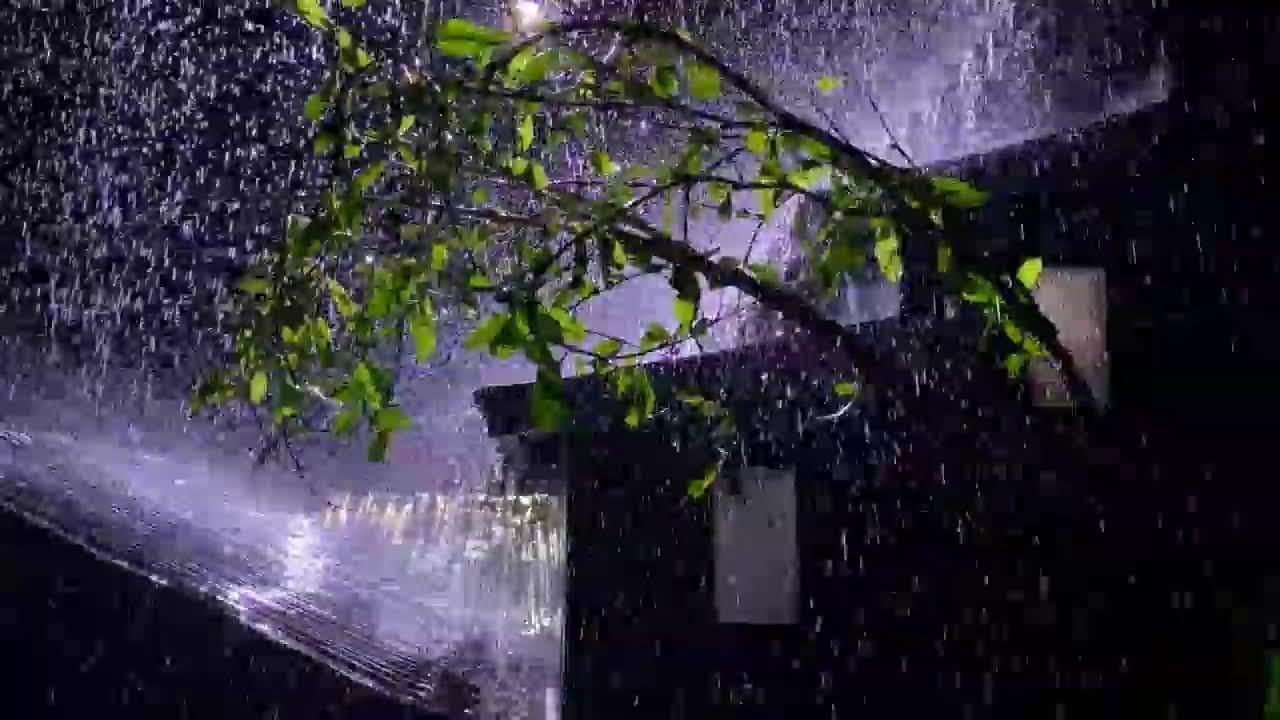 Rain Sounds White Noise – Heavy Rain on Tin Roof