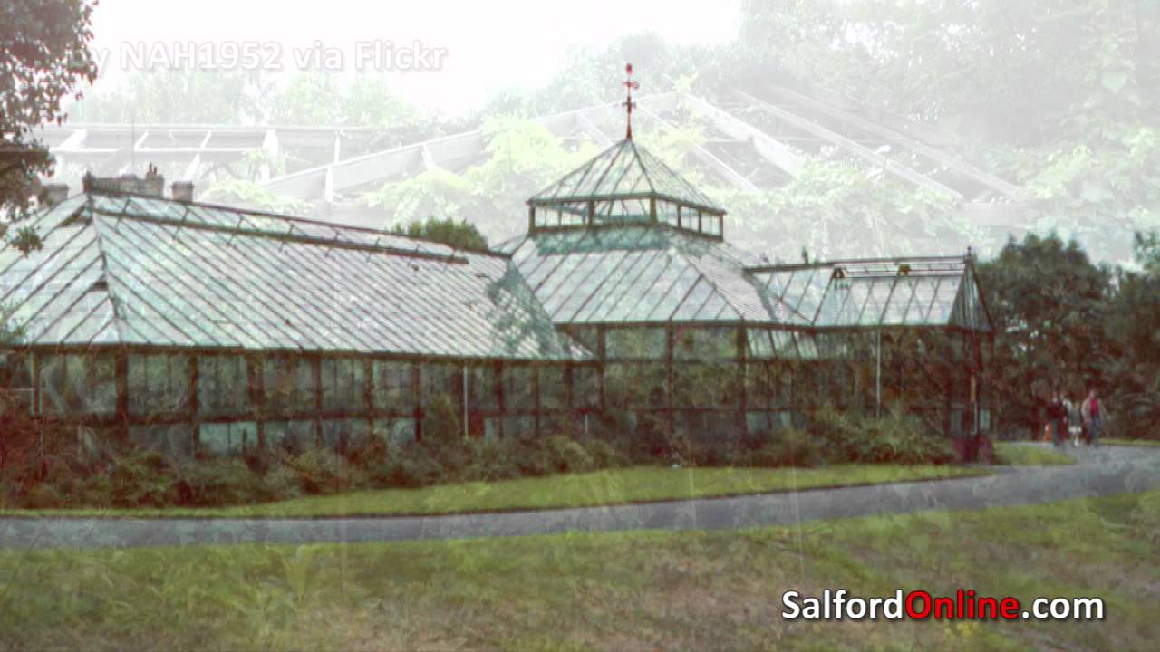 Salford History: Buile Hill Park Hothouse rotting before our eyes