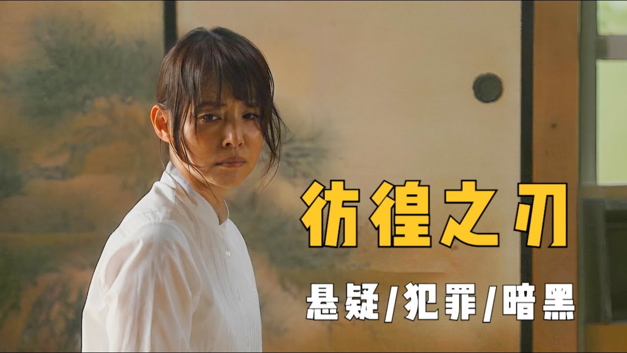 畅销推理作家极具争议的作品，凶手罪大恶极，警方却完全束手无策