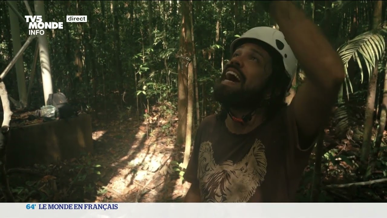 Amazonie : comprendre la forêt