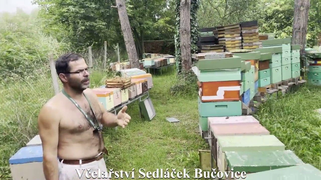 74/24 Oddělky