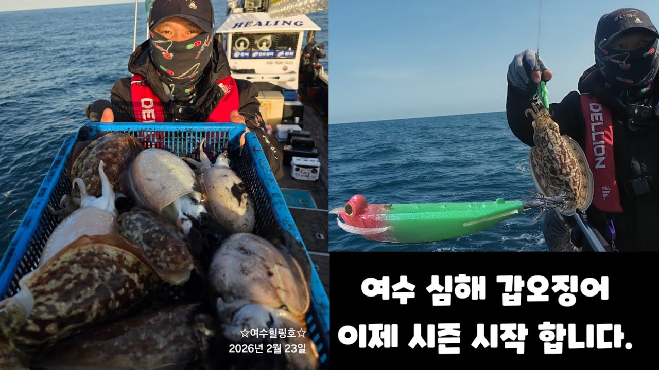 날씨만 좋으면 여수 심해갑오징어 가시죠 이제 시즌 시작합니다.(NH코리아 다크에어68, 타이거삼봉에기,델리온 삼봉에기,델리온쉬림프 삼봉에기,델리리그비비튠 오늘도 이벤트는계속됩니다.