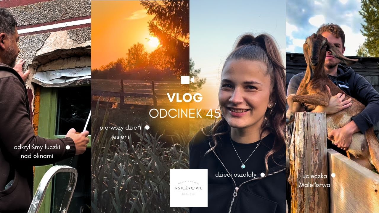 ODCINEK 45 | SPOTKALI ŁOSIA TWARZĄ W TWARZ! WRACAMY DO REMONTÓW? ODKRYLIŚMY ŁUKI NAD OKNAMI  🫎🎣🍂