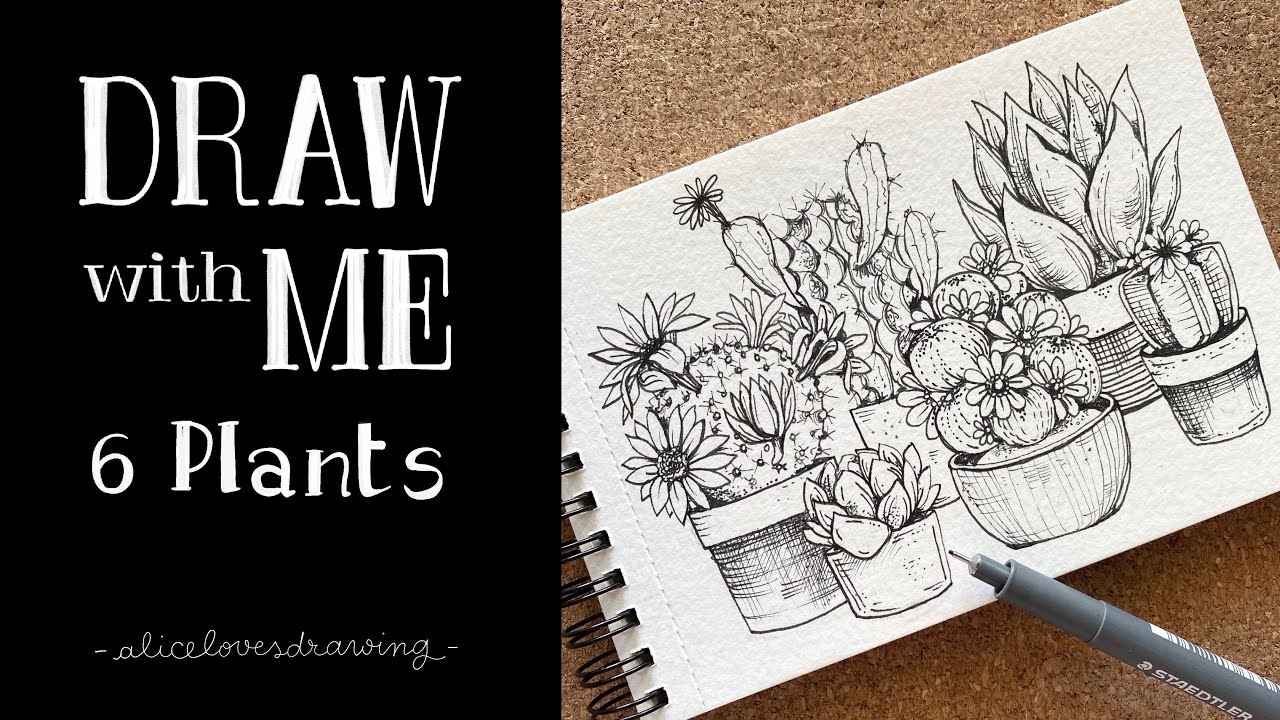 Draw With Me #8 | Six Plants: Cacti and Succulents | Ink easy drawing