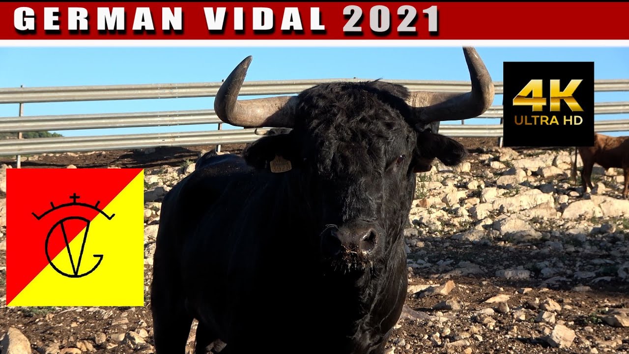 GERMAN VIDAL 2021