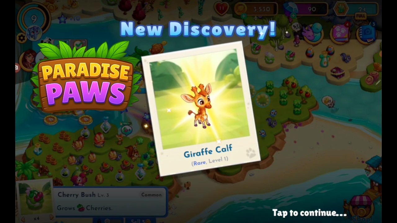 Paradise Paws merging