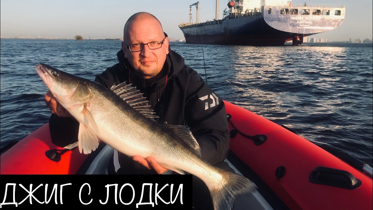Судак с Лодки на Джиг. Финский Залив. Невская Губа. Сентябрь 2020.