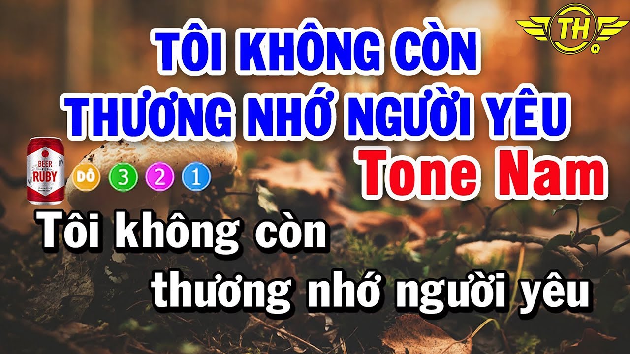 Tôi Không Còn Thương Nhớ Người Yêu Karaoke Tone Nam Nhạc Sống | Trọng Hiếu