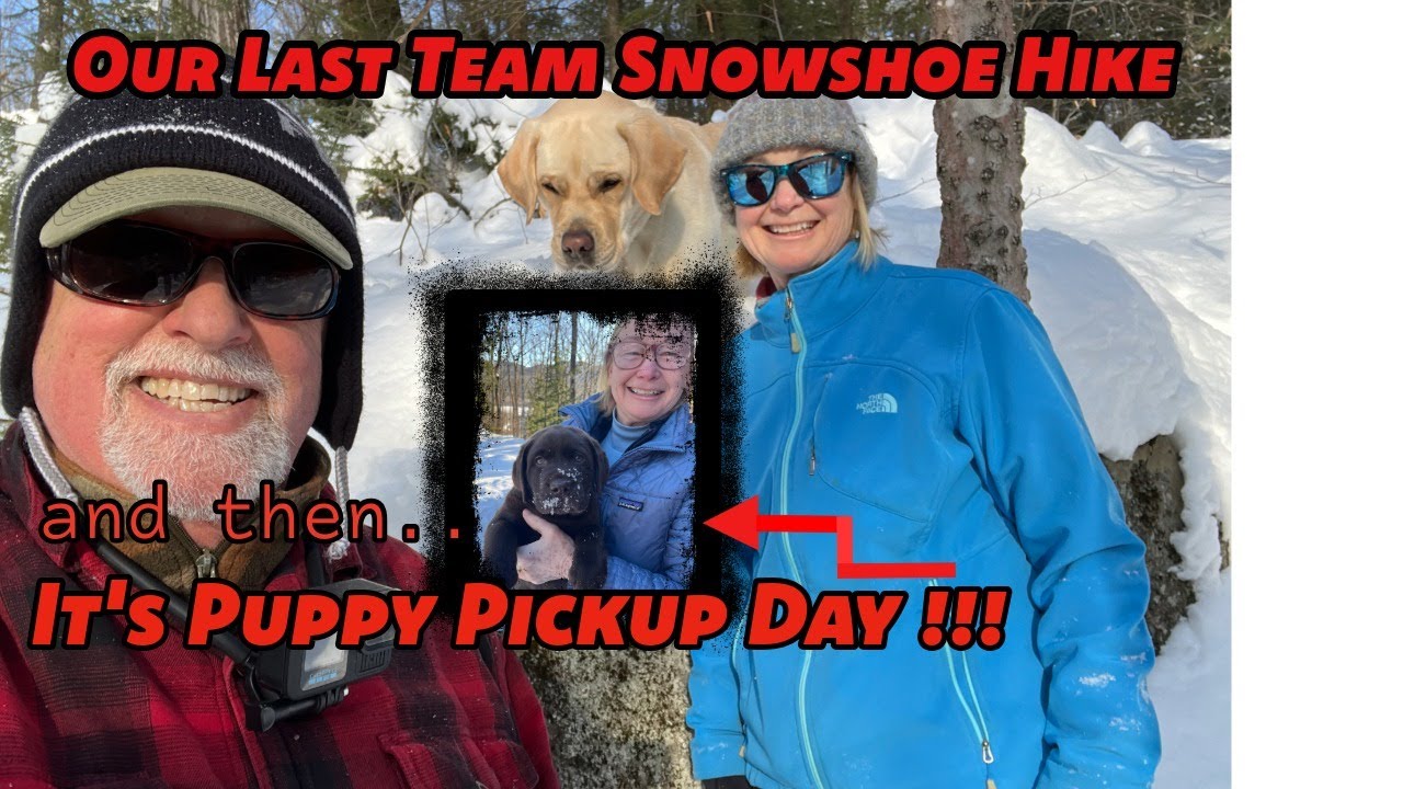 One last Team Snowshoe and then it's Puppy Pickup Day