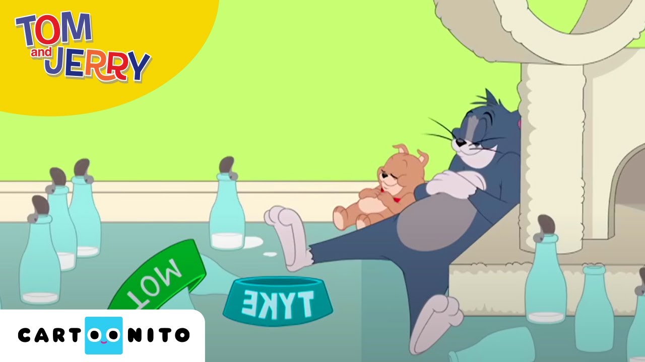Tom și Jerry | Ca o pisică | Cartoonito
