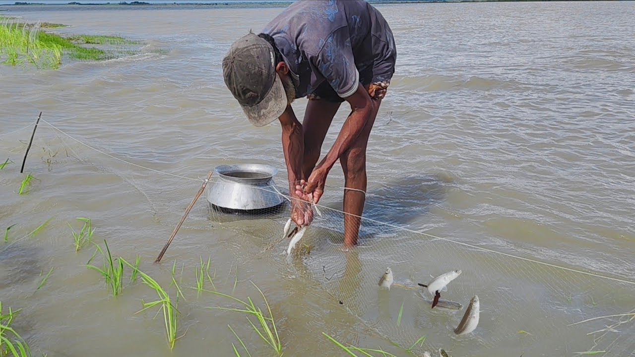 Bangladesh Fishing videos 2026!! কারেন্ট জাল দিয়ে বাটা মাছ ধরা নদীর তীরে। Fish video 