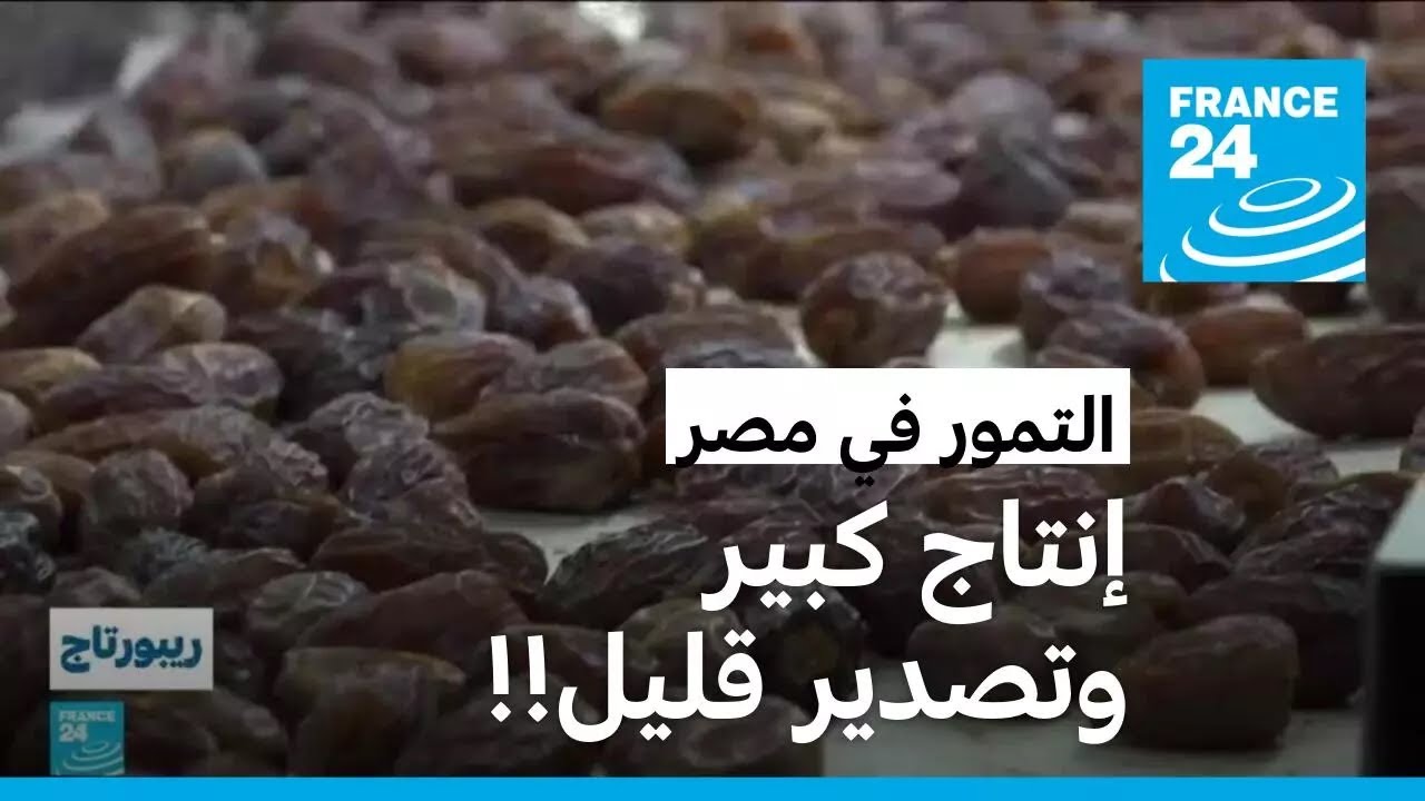 التمور في مصر.. إنتاج كبير وتصدير قليل!! • فرانس 24 / FRANCE 24