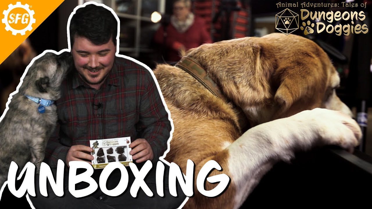 Dungeons & Doggies: Volume 3 - Unboxing | Animal Adventures
