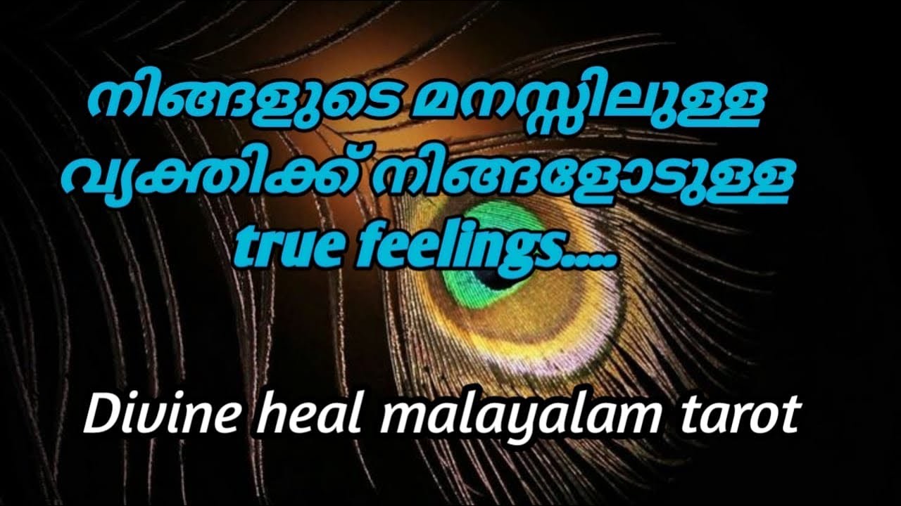 നിങ്ങളുടെ മനസിലുള്ള വ്യക്തിക്ക് ഇപ്പോൾ നിങ്ങളോടുള്ള ട്രൂ feelings. ...