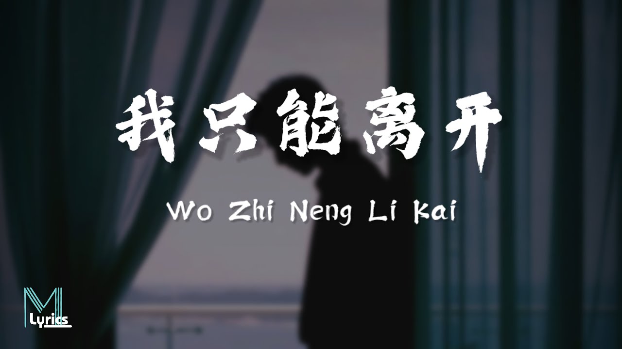 Yan Ren Zhong (顔人中) -  Wo Zhi Neng Li Kai (我只能离开) Lyrics 歌词 Pinyin/English Translation (動態歌詞)