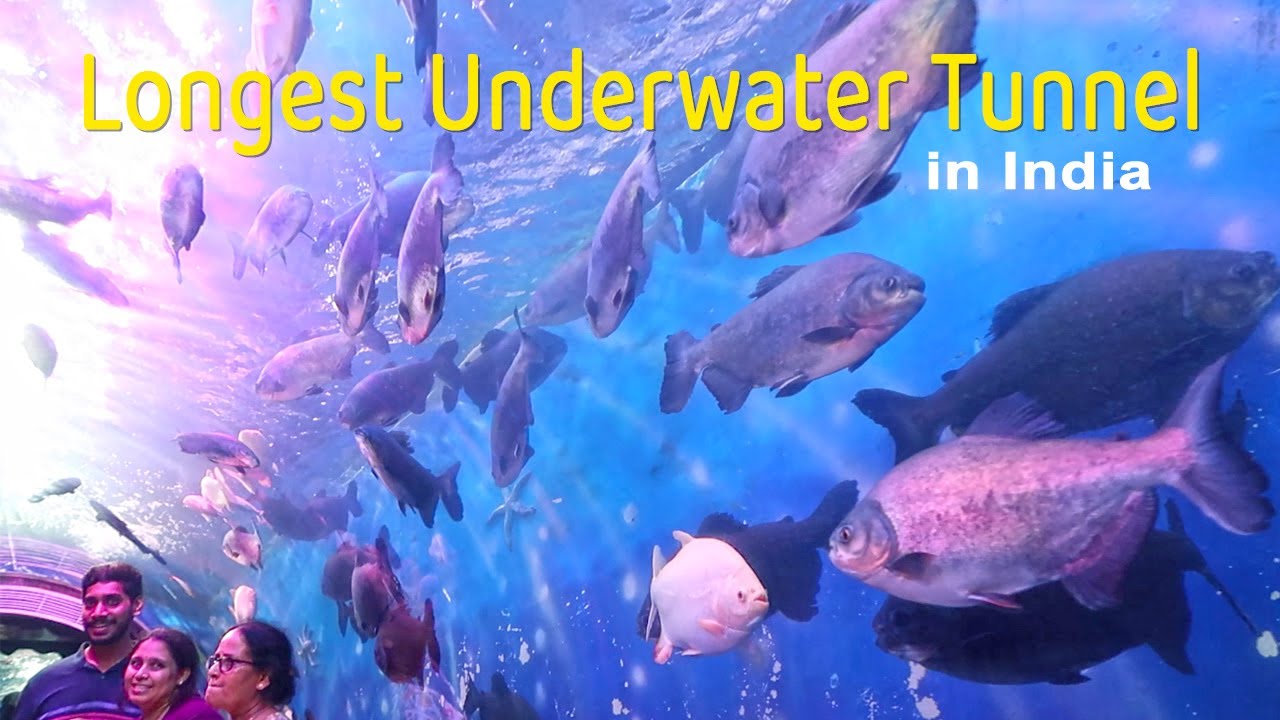 Underwater Thrills at Lokaranjan Aqua World in Mysore 🔥 Longest Under water tunnel in India