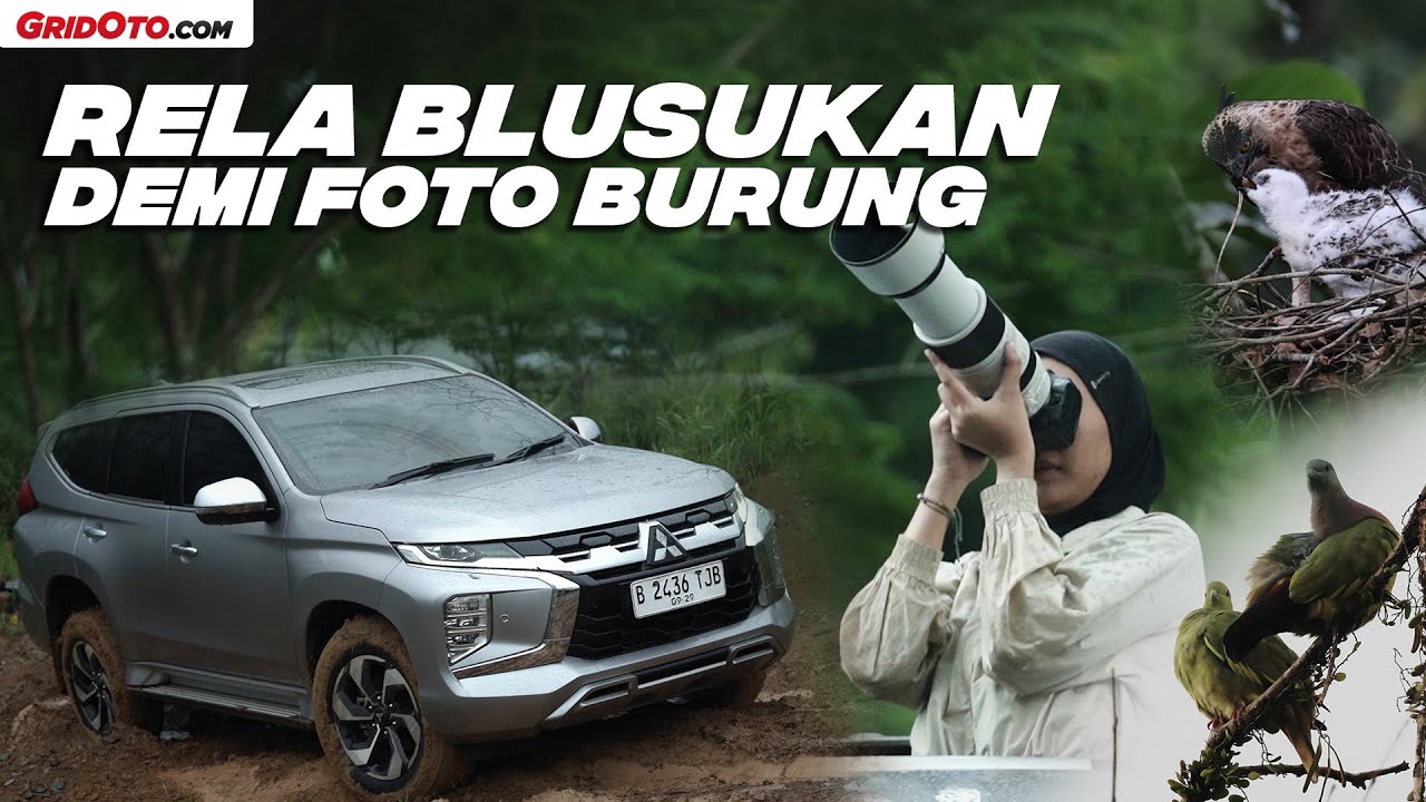 Demi Foto Burung Bagus, Mitsubishi Pajero Sport Dakar 4x4 Rela Blusukan