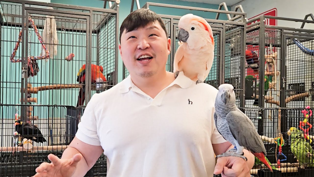 구독자분들께 꼭 보여드리고 싶은 앵무새 조류원!!! 1편