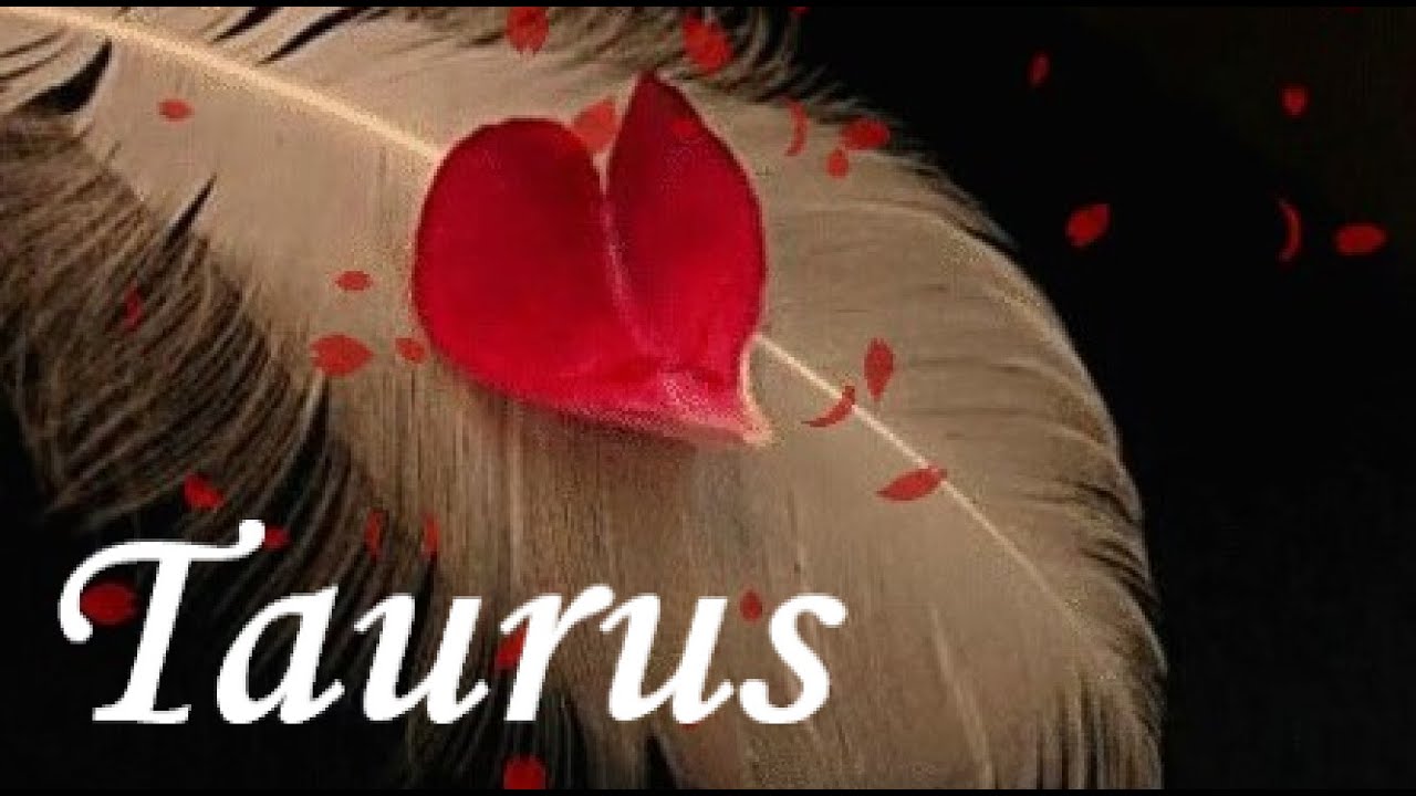 TAURUS LOVE JANUARY 2026 THEY WANT YOU BACK /OPTIONS? RAYS OF HOPE RAINBOW LIGHT LOVE & HEALING