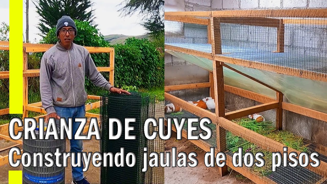 JAULAS PARA CUYES  - JAULAS DE DOS PISOS