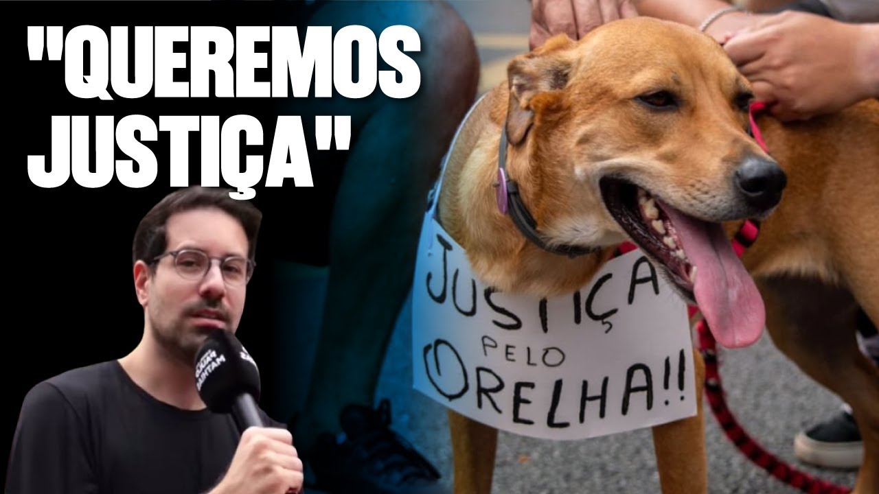CASO ORELHA: MILHARES DE MANIFESTANTES PROTESTAM NA AVENIDA PAULISTA
