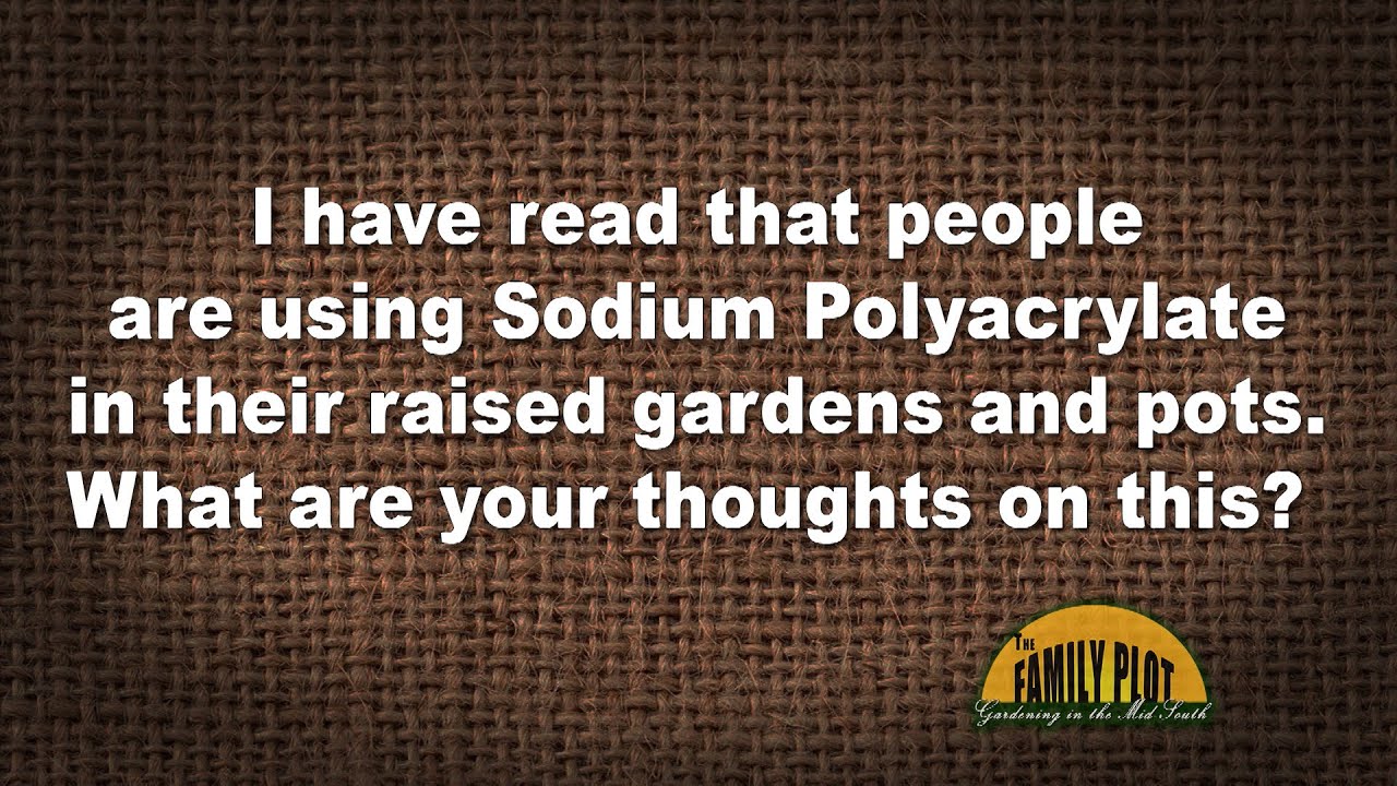 Q&A – Can you use Sodium Polyacrylate in pots and raised gardens to reduce watering?