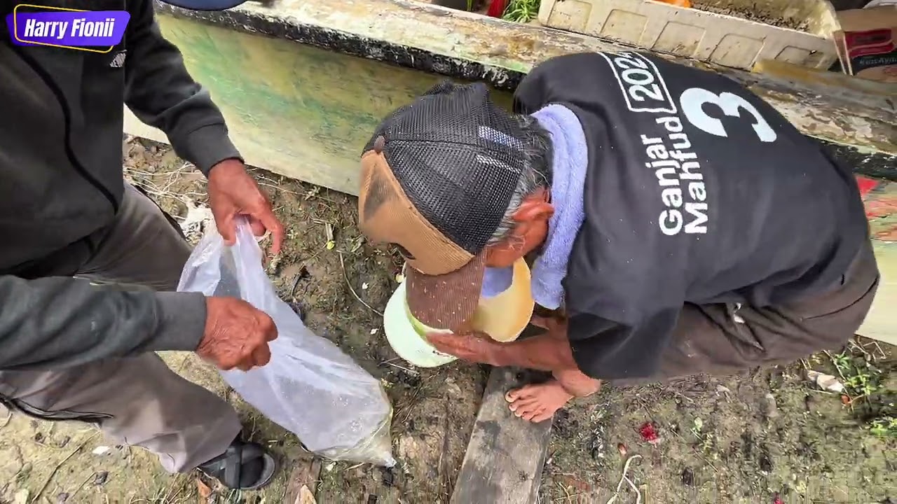 Ikan Gurami Hasil Tangkapan Wak Rasau…!! Ludes Terjual Di Borong Pak RT