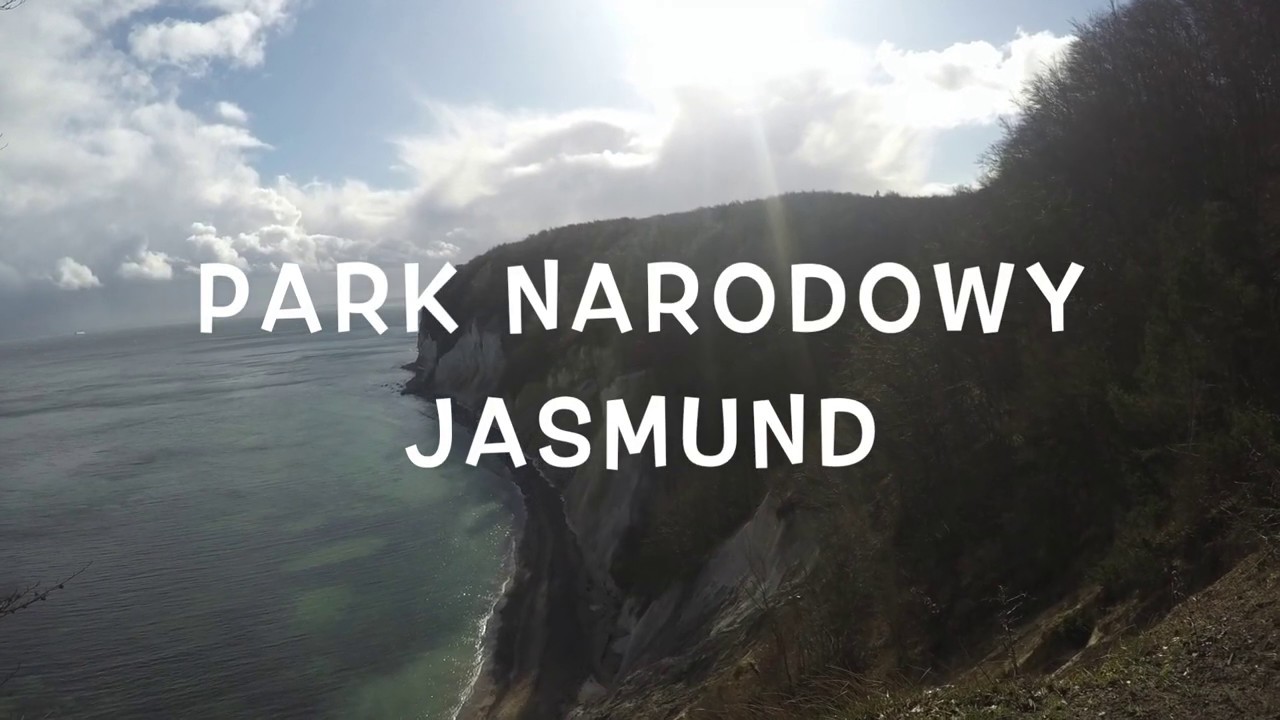 Warto zobaczyć Park Narodowy Jasmund (Rügen).