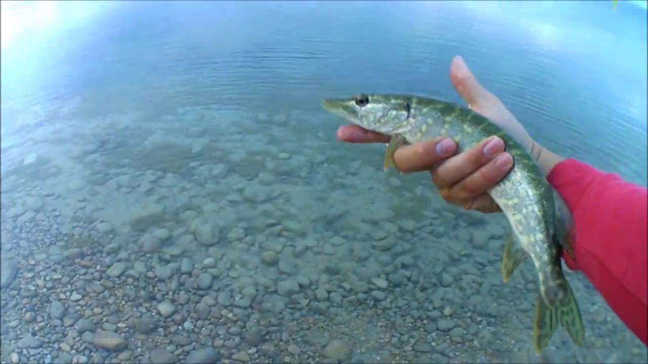 Pêche du carnassier sur le lac de Sainte-Croix-du-Verdon