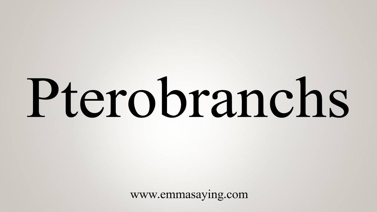 How To Say Pterobranchs